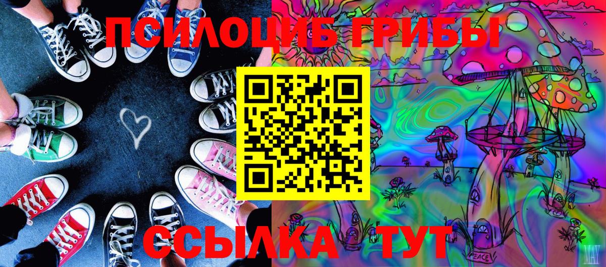 Псилоцибиновые грибы мухоморы  Вход с VPN  Прокопьевск  Галлюциногенные грибы прущие грибы 