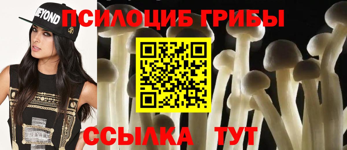 Галлюциногенные грибы Psilocybine cubensis Прокопьевск